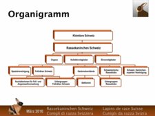 Organigramm und Funktionendiagramm